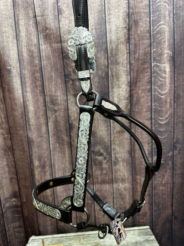 Online Store - Kathy's Show Equipment