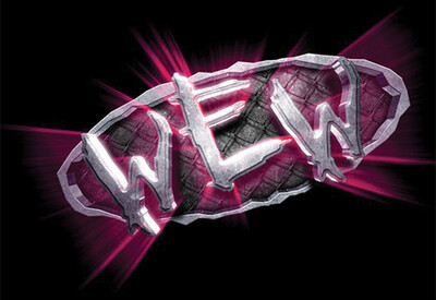 45 WEW W0MEN'S EXTREME WRESTLING PAY PER VIEW FULL VOD SHOWS MEGA PACK