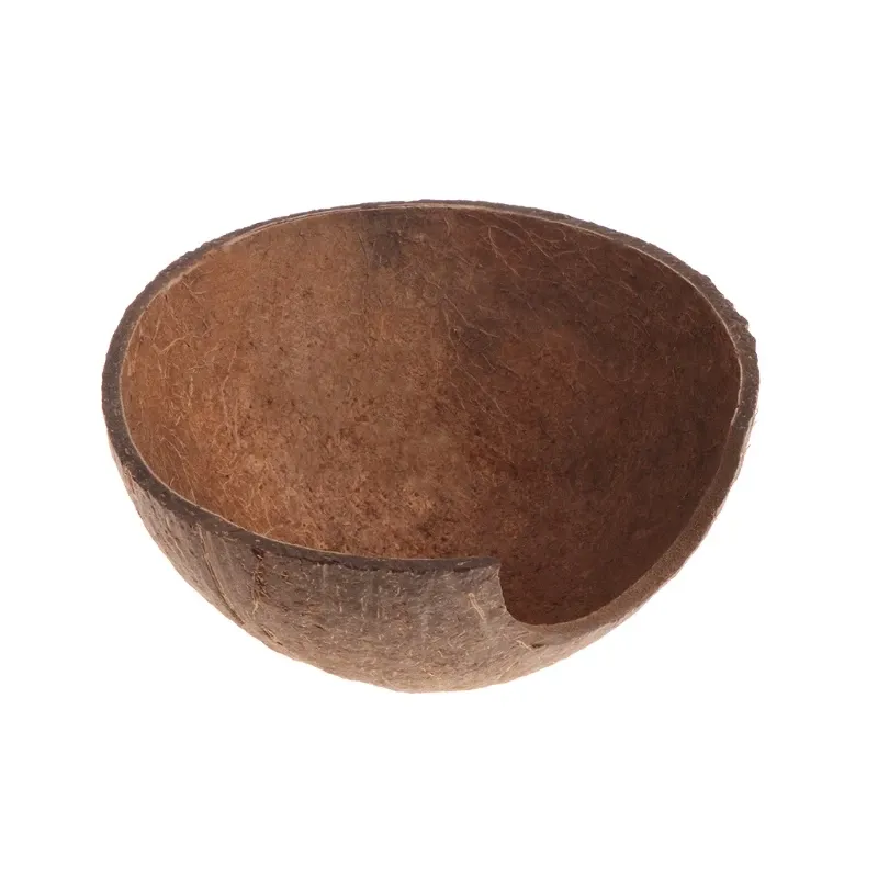 Reptile Coconut Resin Hide