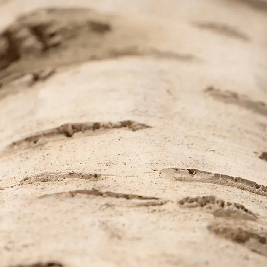 Birch Wood Texture Plastic Resin Reptile Hideaway Cave