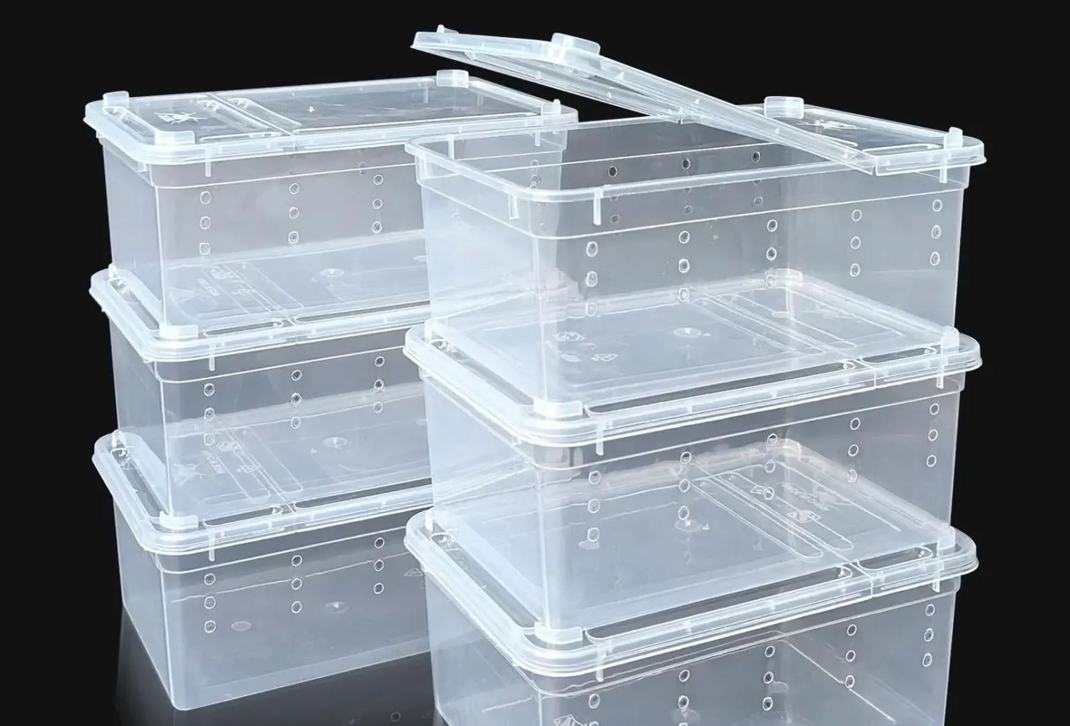 Dual-Purpose Reptile Egg Laying &amp; Habitat Tub