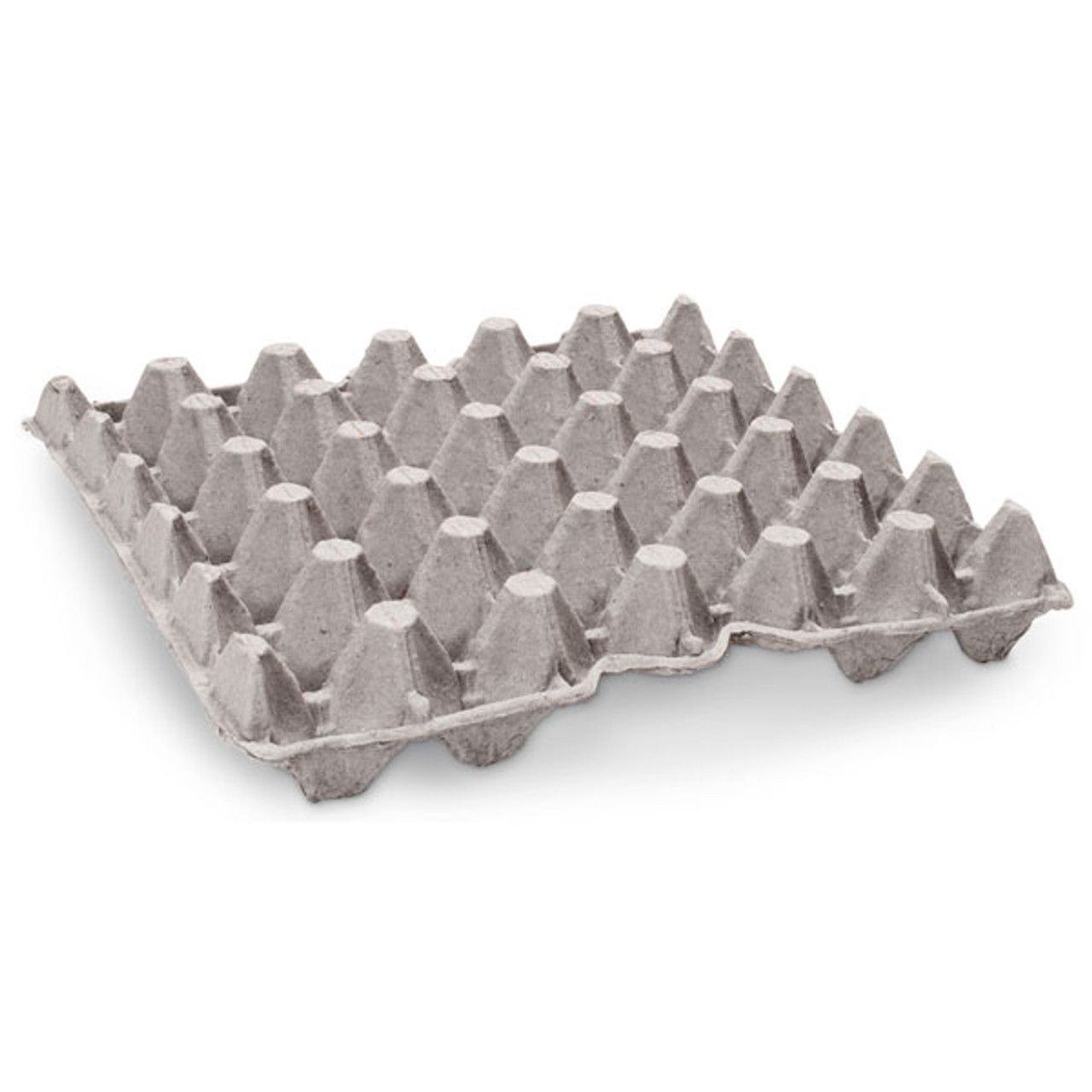 Egg Crate Trays for Insect Colony [100 Pack]