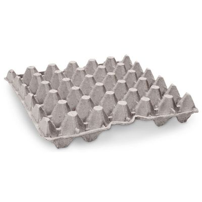 Egg Crate Trays for Insect Colony [100 Pack]