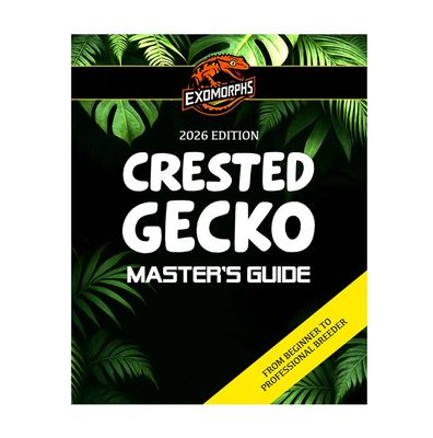 EXOMORPHS: Crested Gecko Master&#39;s Guide Book