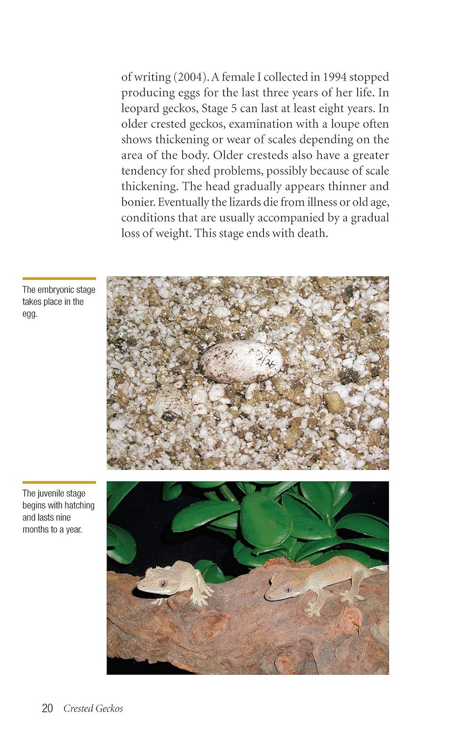 Crested Geckos [Paperback] Book by Philippe De Vosjoil (Author)