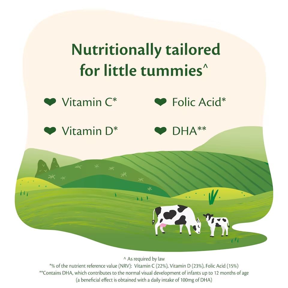 HiPP Organic 2 Follow on Baby Milk Powder Formula, From 6 Months, 800g Tub