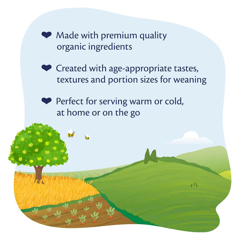 Hipp Organic Rice Pudding With Apple &amp; Pear 7+ Months 160G