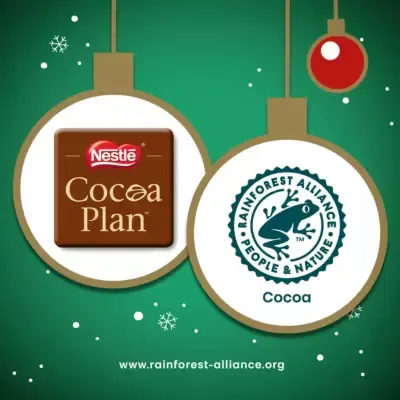 After Eight Delightfully Minty Dark Chocolate Thins 300g