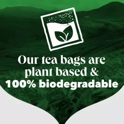PG Tips 40 Original Tea Bags 116g