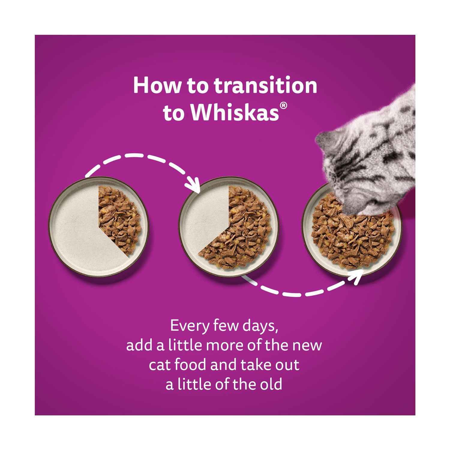 Whiskas 1+ Poultry Feasts in Jelly Adult Wet Cat Food Pouches 40 x 85g