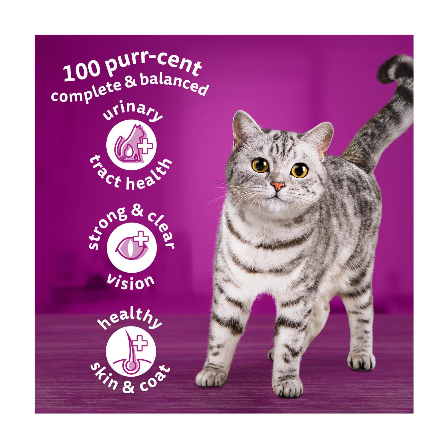 Whiskas 1+ Chicken Complete Adult Dry Cat Food 800g