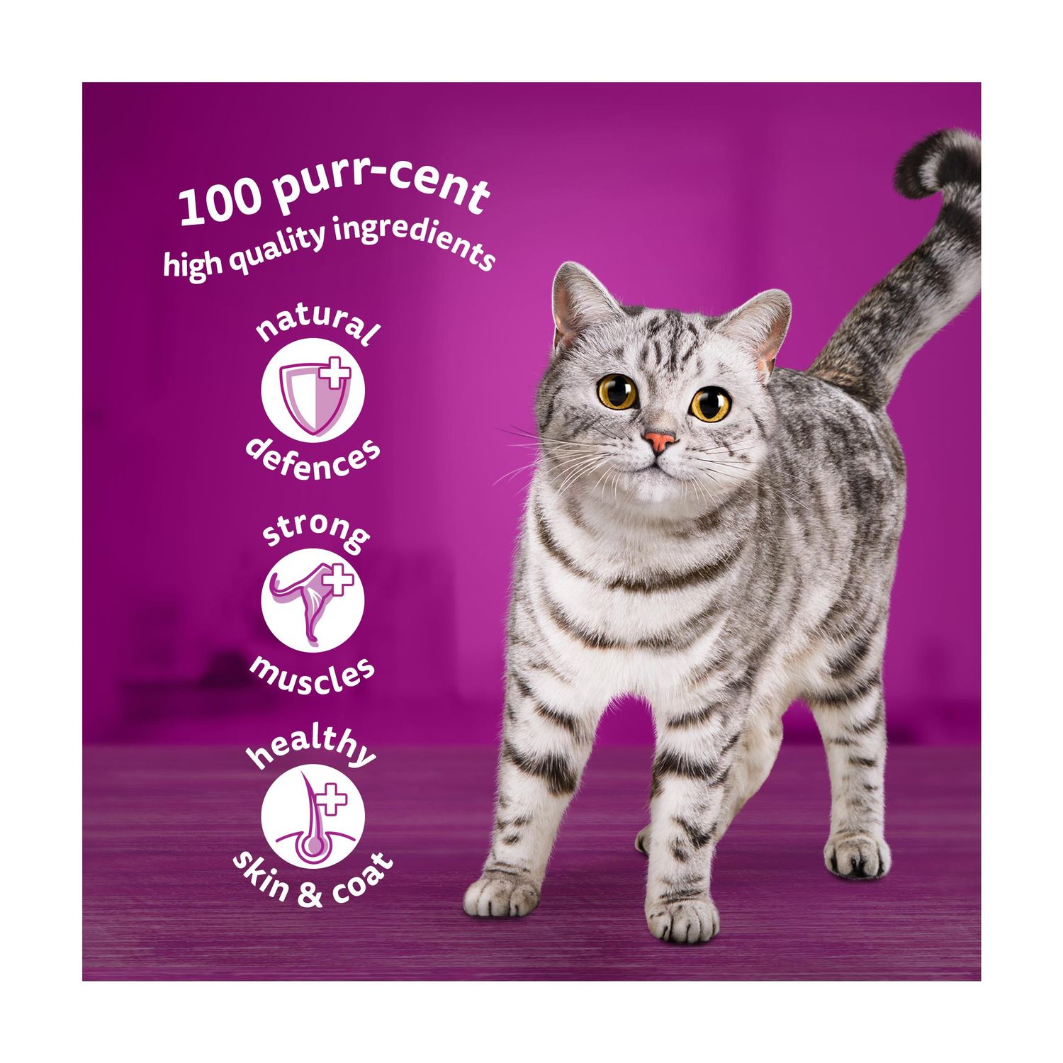 Whiskas 1+ Fish Favourites Adult Wet Cat Food Pouches in Jelly 40 x 85g