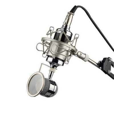 Professional Sound Dynamic Mic Studio Recording Condensor Microphone