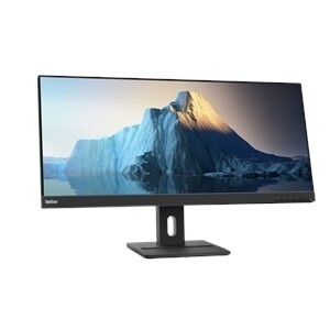 TS E29w 20 29&#39;&#39; HDMI Monitor