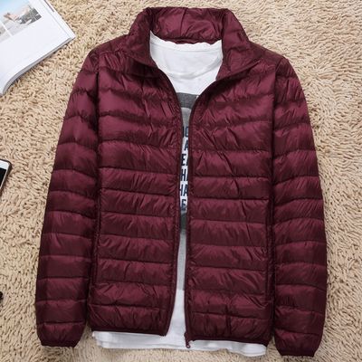 Color: Dark Red, Size: XL - New Lightweight Stand-up Collar Down Jacket Men&#39;s Short White Duck Down Warm Fall Winter Coat