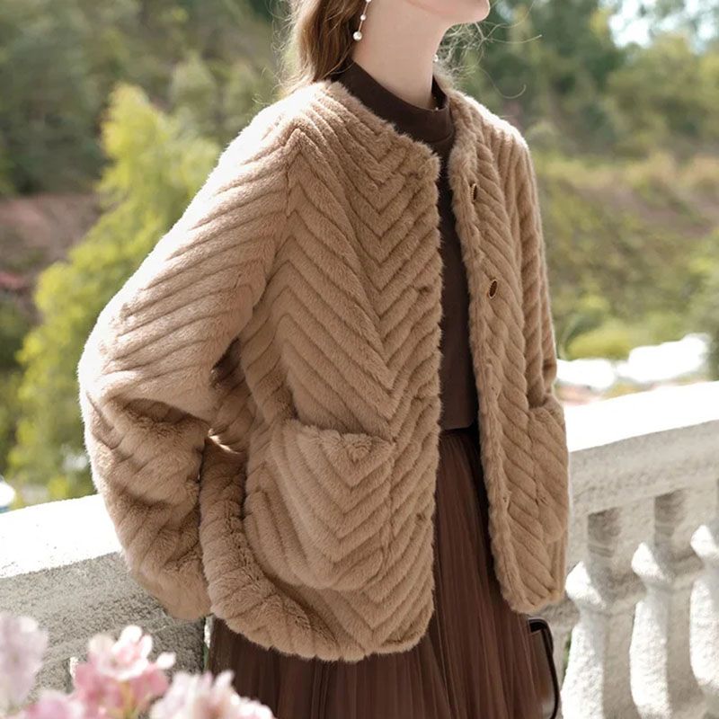 Furry Coat Women&#39;s Autumn And Winter Leisure Coat