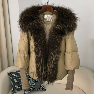 Wool &amp; Blend