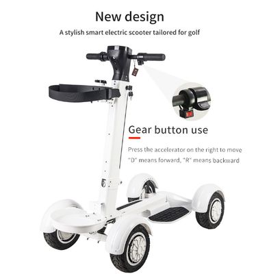 Four Wheel Golf Electric Folding Light Longboard Lawn Course Scooter