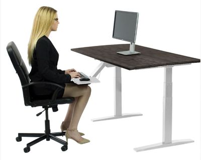 White and Black 52" Bamboo Dual Motor Electric Office Adjustable Computer Desk