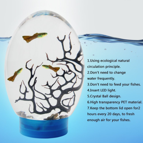 selfsufficient aquarium ecosystem