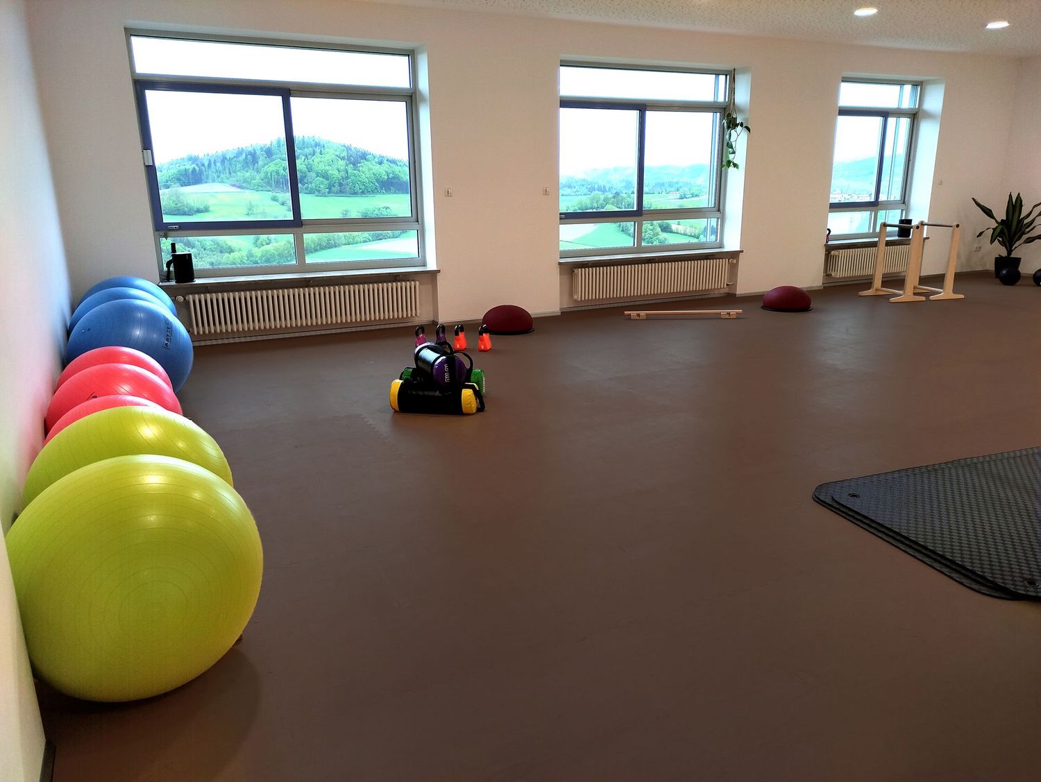 Pavigym Balance – 20mm Virgin Rubber Interlocking Gym Tiles for Functional & Rehab Zones