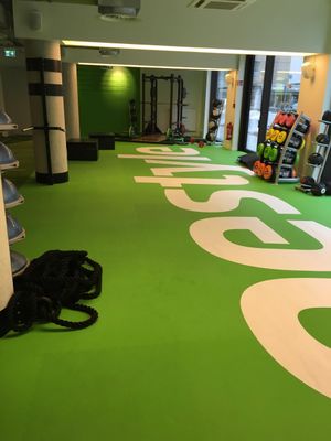 Pavigym Performance+ 5mm Virgin Rubber Interlocking Tiles for Cardio & Fitness Zones