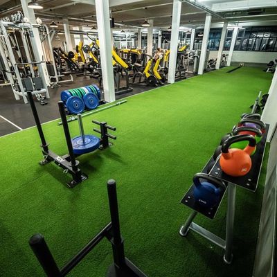 Pavigym Turf Roll – 11mm Plain Artificial Grass for Sled Training & Functional Zones