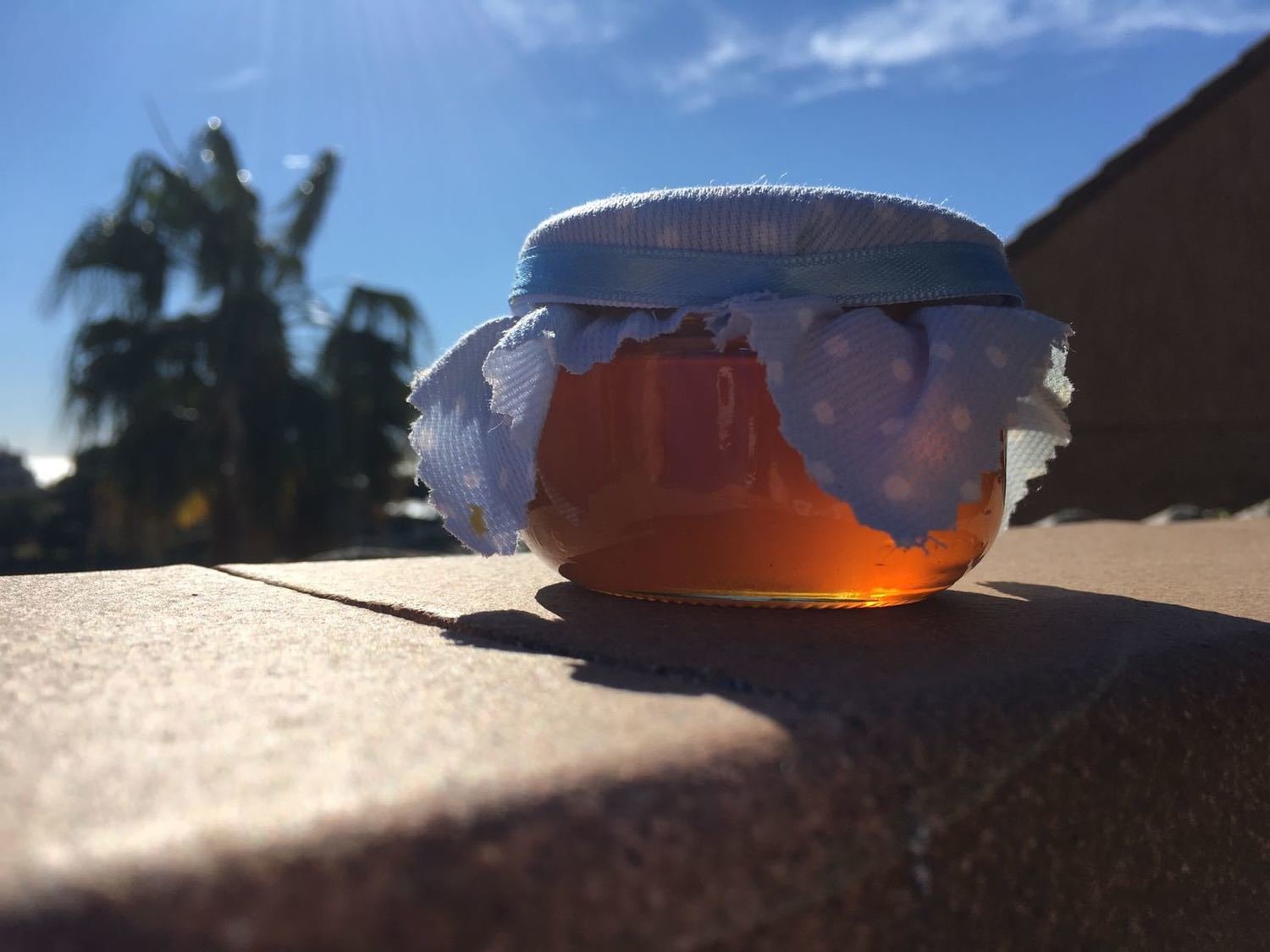 Miel formato &quot;Regalo&quot;