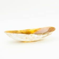 Bowl-Horn-Oval XL
