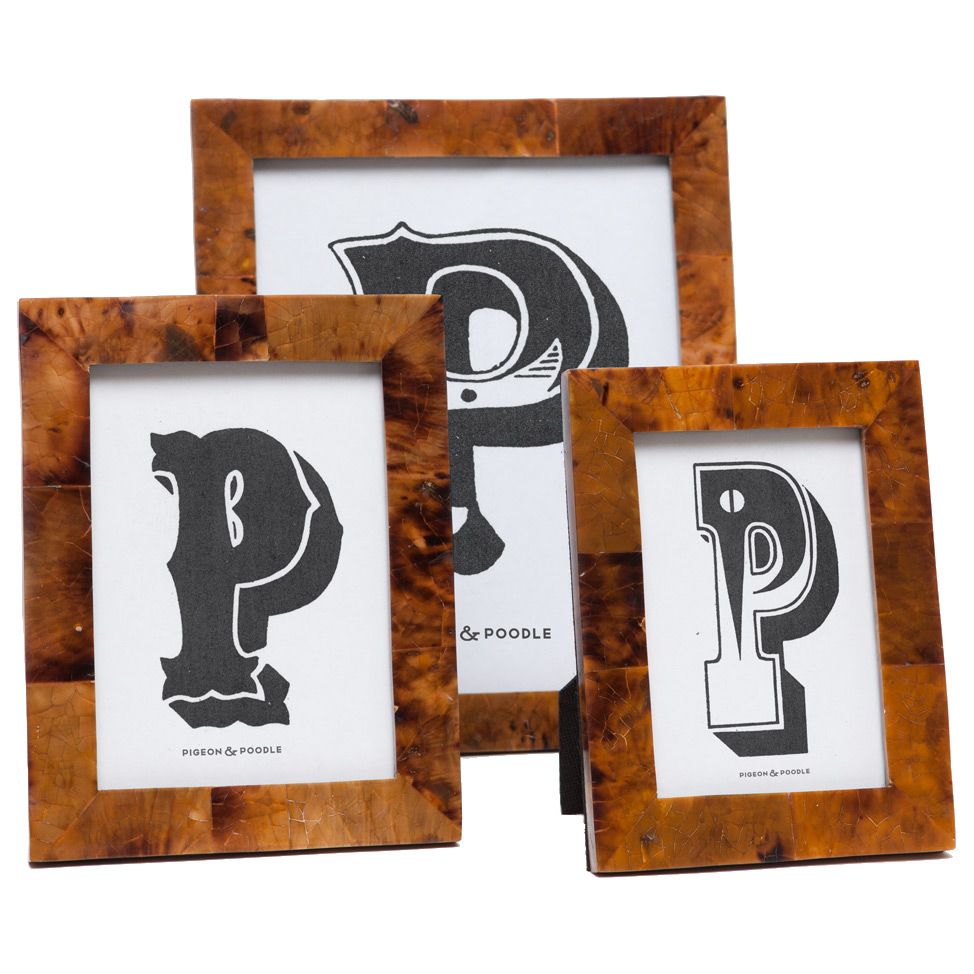 Frame-Young Pen Shell 4x6Basel