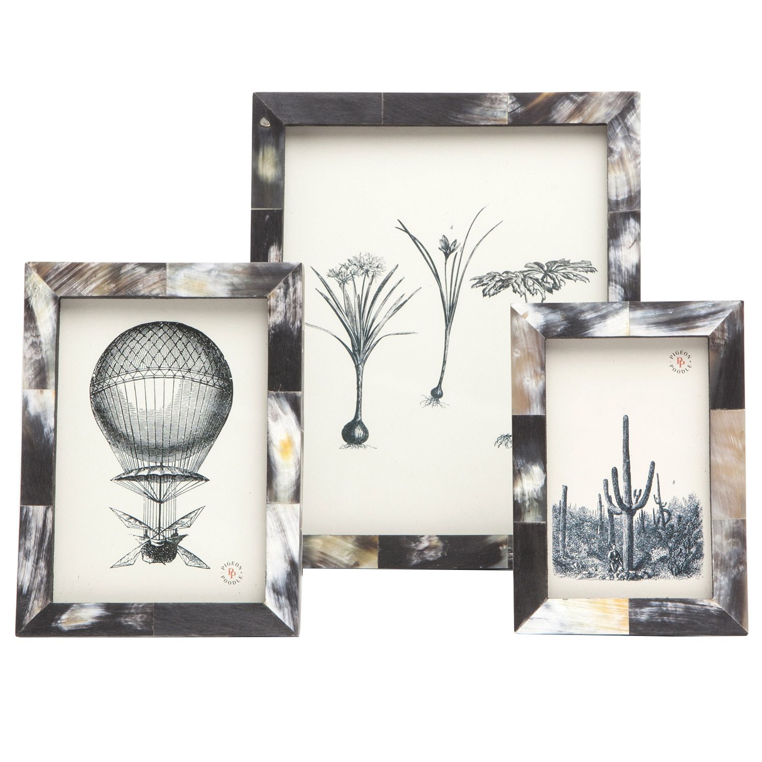 Frame-Dark Horn 5x7 Essen