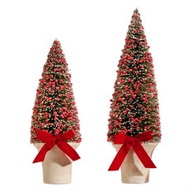 ChrisTree-Iced Berry in Pot-14in