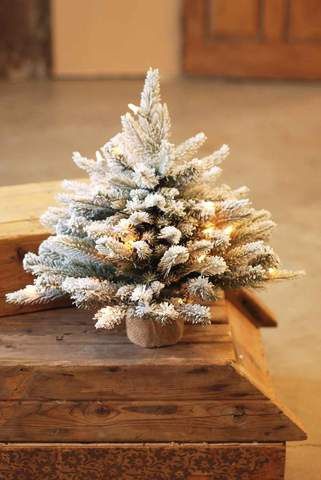 ChrisTree-18in Fat Balsam