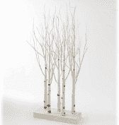 ChrisTree-Birch Grove-4ft