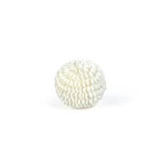 Sea Shells-Fill Bal-5in
