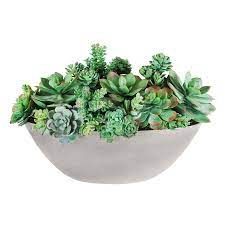 Succulent Planter-24in