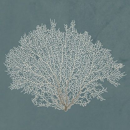 Wall Art-Beauty Under the Sea VIII-24x24