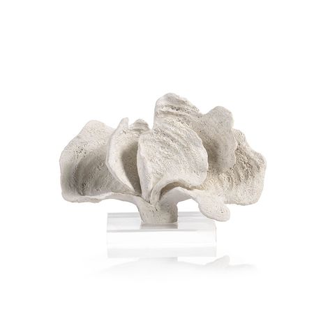 Coral-White-Acrylic Base B