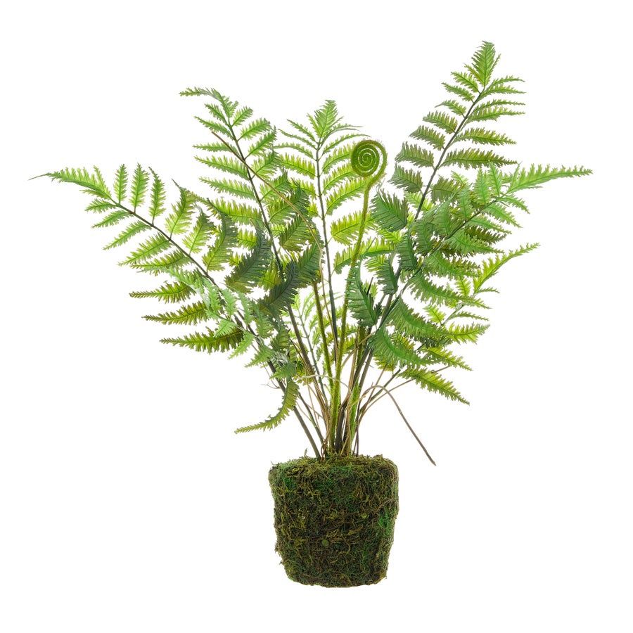 Lace Fern-20in