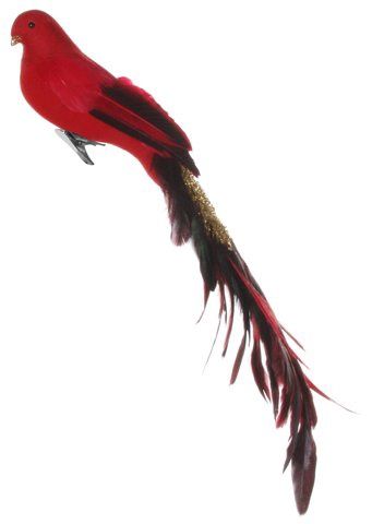 ChrsOrn-Bird Red Tail with Clip
