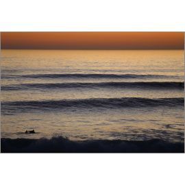 Wall Art-California Surf Sunset