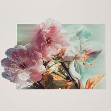 Placemat-Cherry Blossom-Rectangular