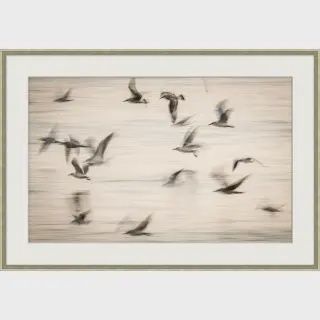 Wall Art-In Flight