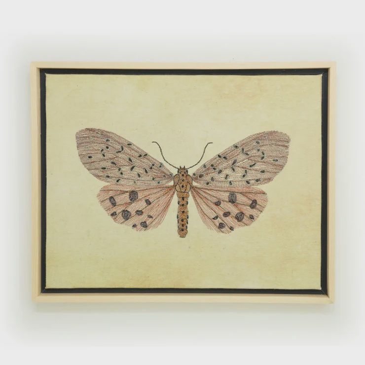Thread Art-Tiger Moth