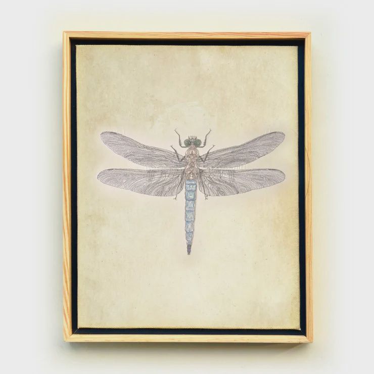 Thread Art-Blue Dragonfly