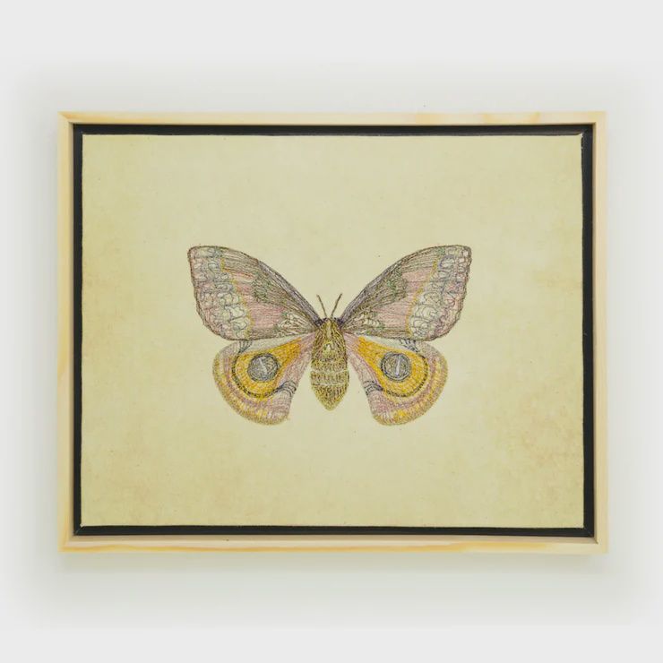 Thread Art-Eye-On Moth