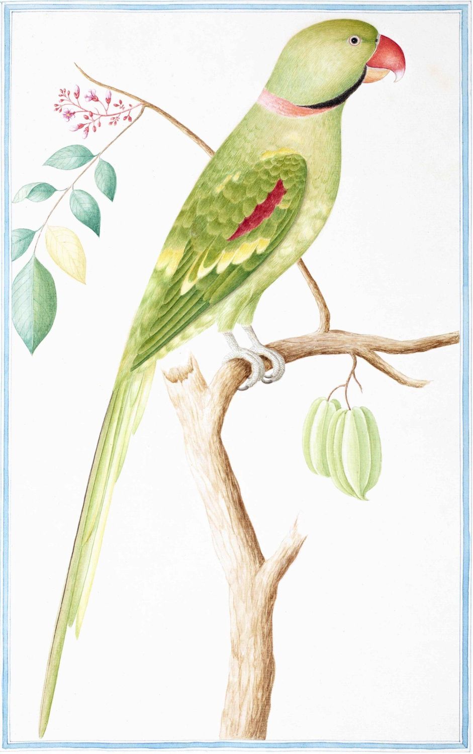 Wall Art-Mustached Yellow Parakeet