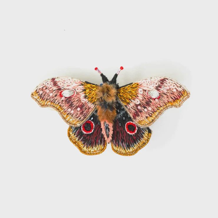 Brooch Pin-Mopane Moth