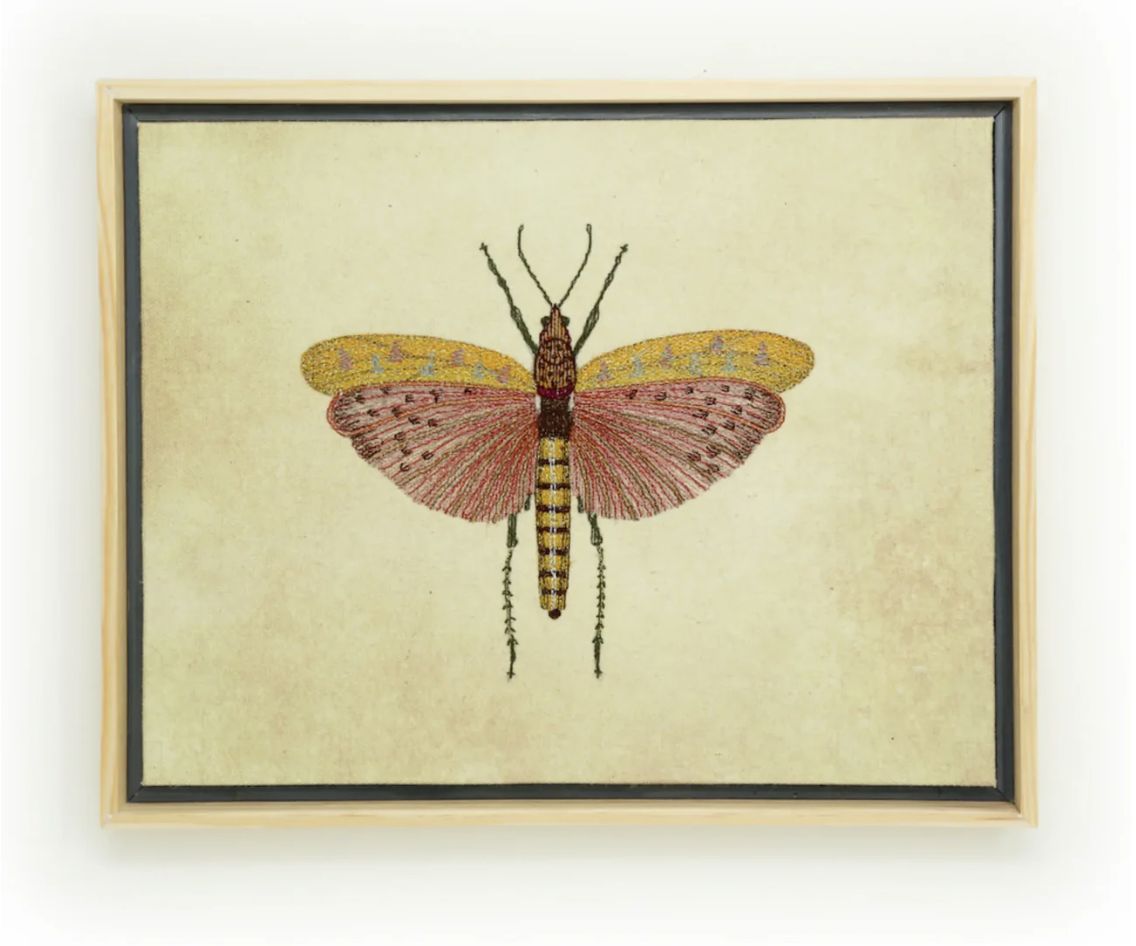 Thread Art-Rose Winged Hopper