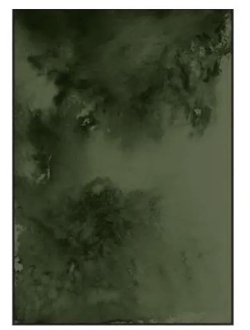 Wall Art-Ink Movement Green